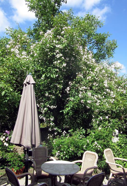 Door & Roos Bed & Breakfast Lottum Bagian luar foto